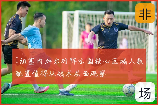 I组塞内加尔对阵法国核心区域人数配置值得从战术层面观察